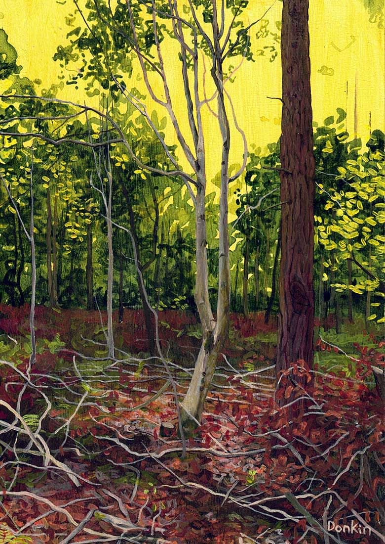 Morag Donkin, September Woods (21)