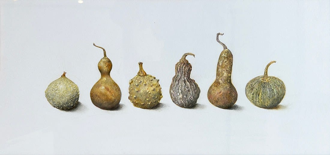 Tom Wilson, Identity Parade