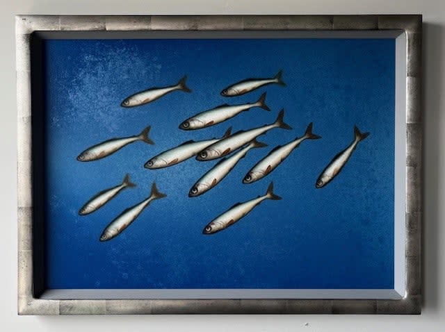 Donald Provan, Ultramarine Dozen
