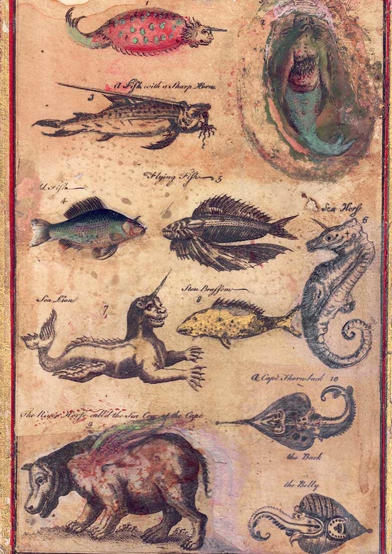 Ian Howard, Bestiary (72)