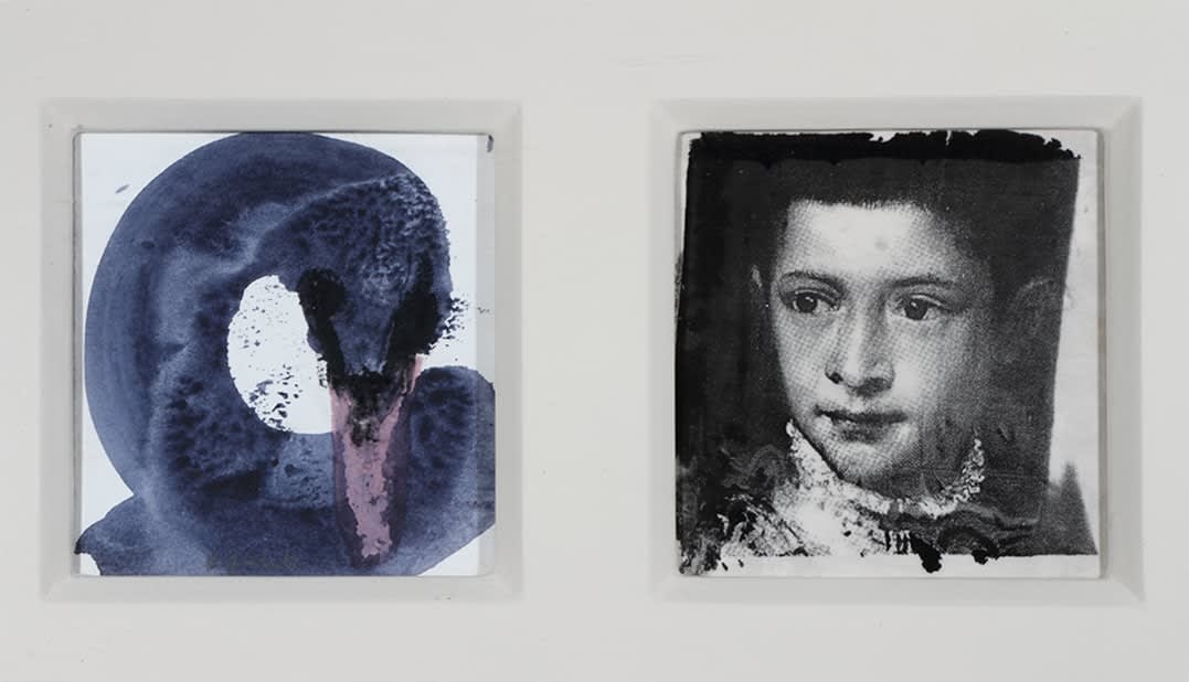 Brent Millar, Black Swan and Ranunccio