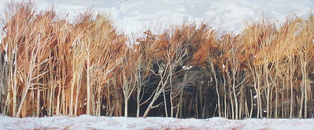Anna King, Edge of Clearfell, Duns Wood