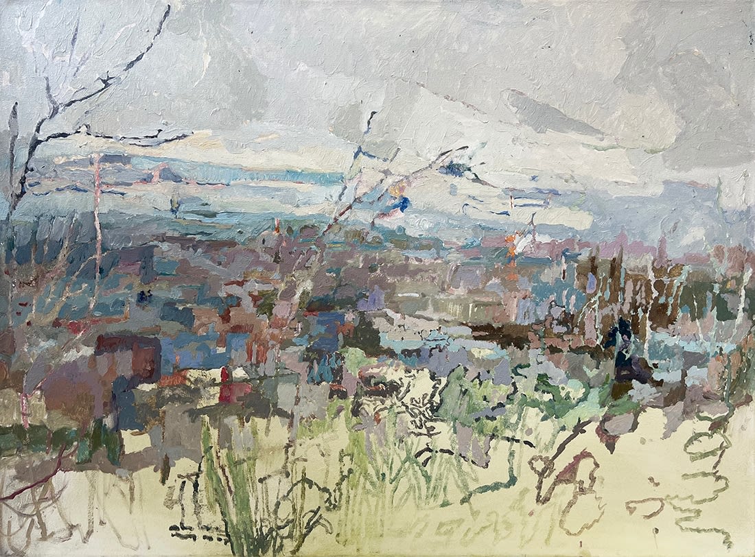 Catharine Davison RSW, Unstoppable Forms of Accumulation, (from Calton Hill)