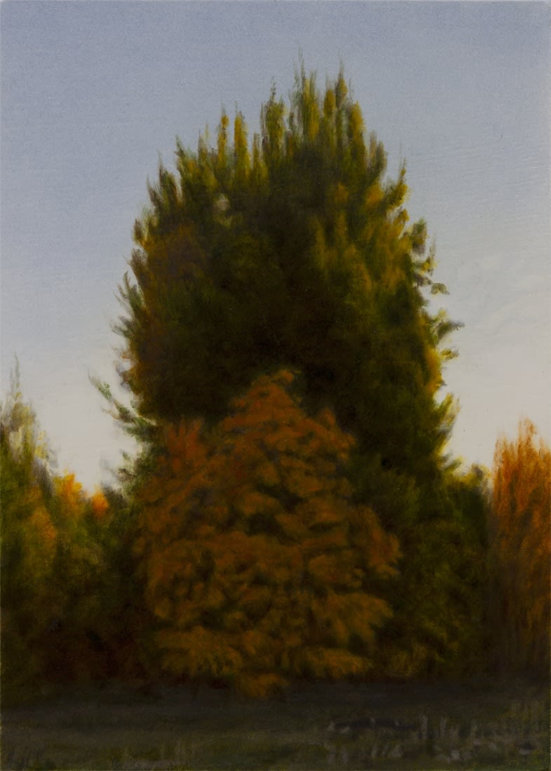 Keith Epps, Trees – Yunost (362)