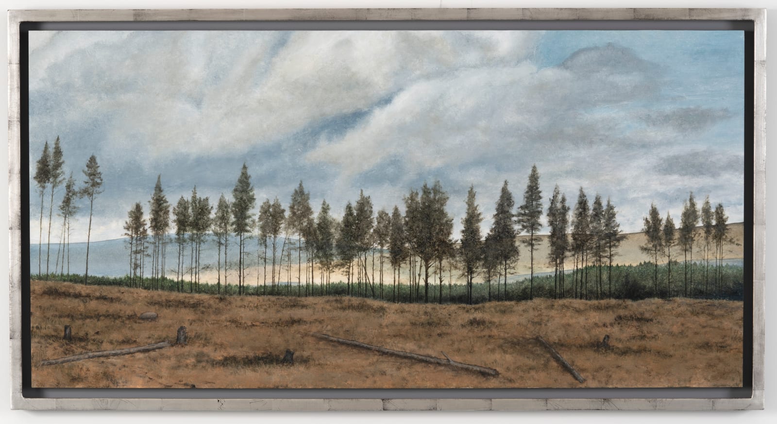 Donald Provan, Forest Remnants