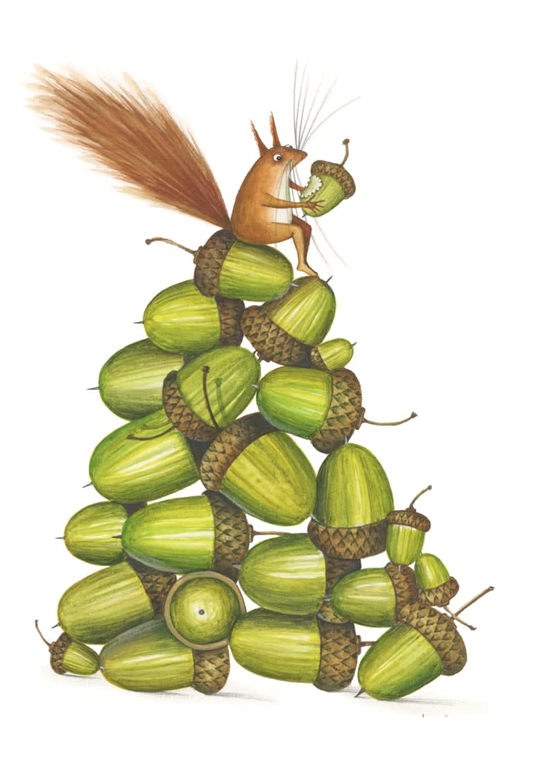 Clare Mackie, Acorn Snack (15)