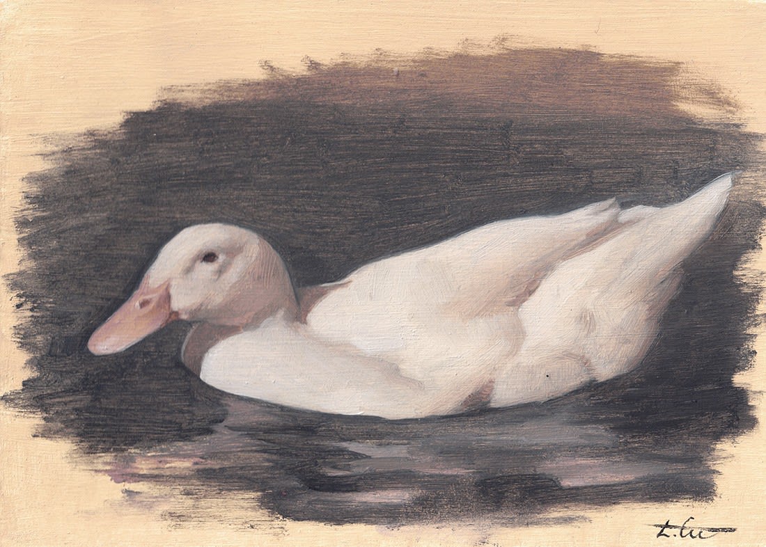 Laura Cullen, Duck (349)