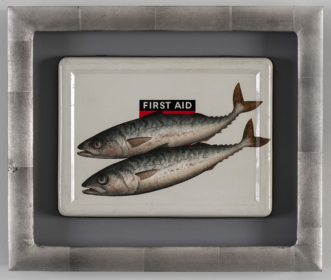 Donald Provan, Tinned Mackerel