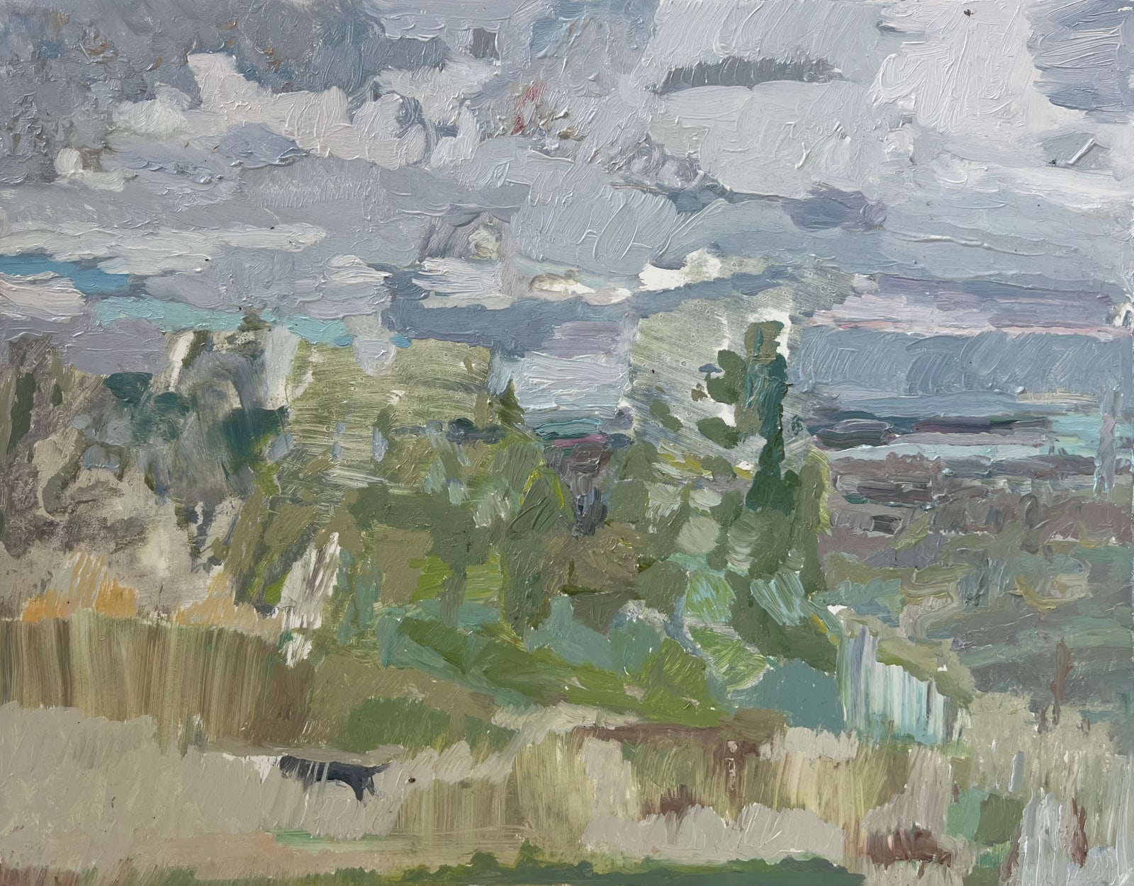 Catharine Davison RSW, Native Landscape, (The Braid Hills)