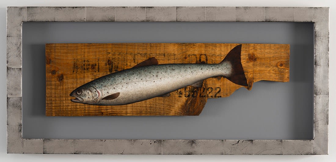 Donald Provan, Small Salmon