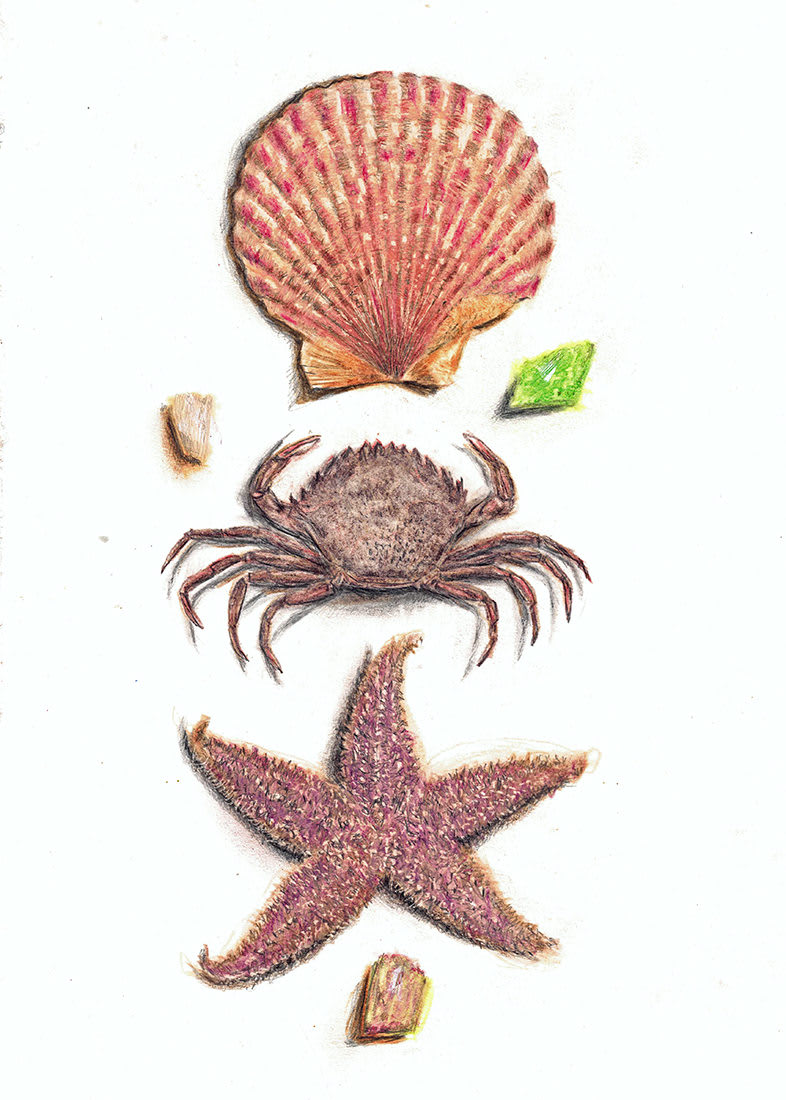 Tom Wilson, On the Waterfront (361)