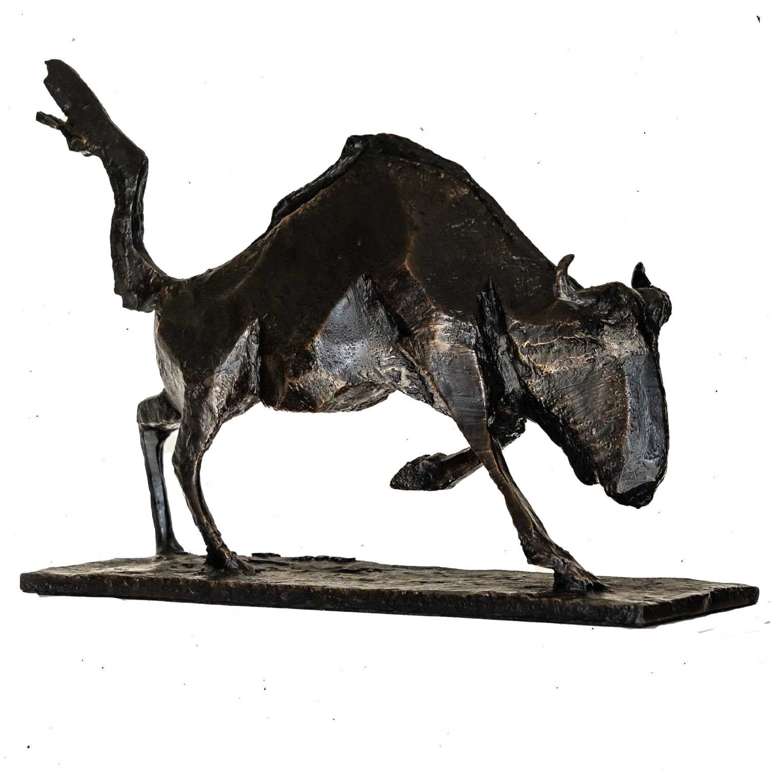 Cobus van der Walt, Wildebeest