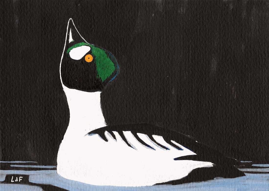 Leo Du Feu, Displaying Goldeneye (211)