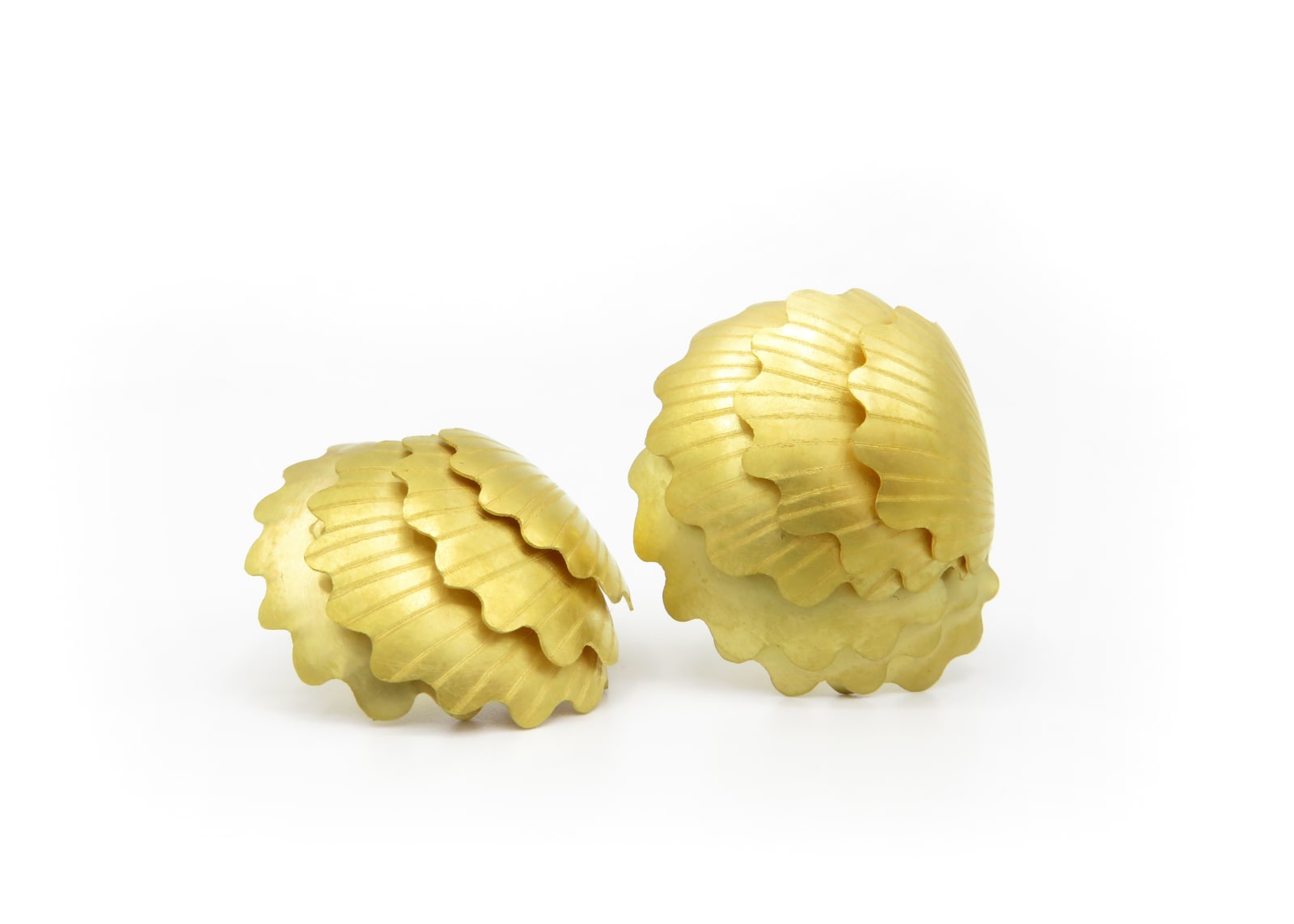 Jacqueline Ryan, Triple Layered Scallops, 2020