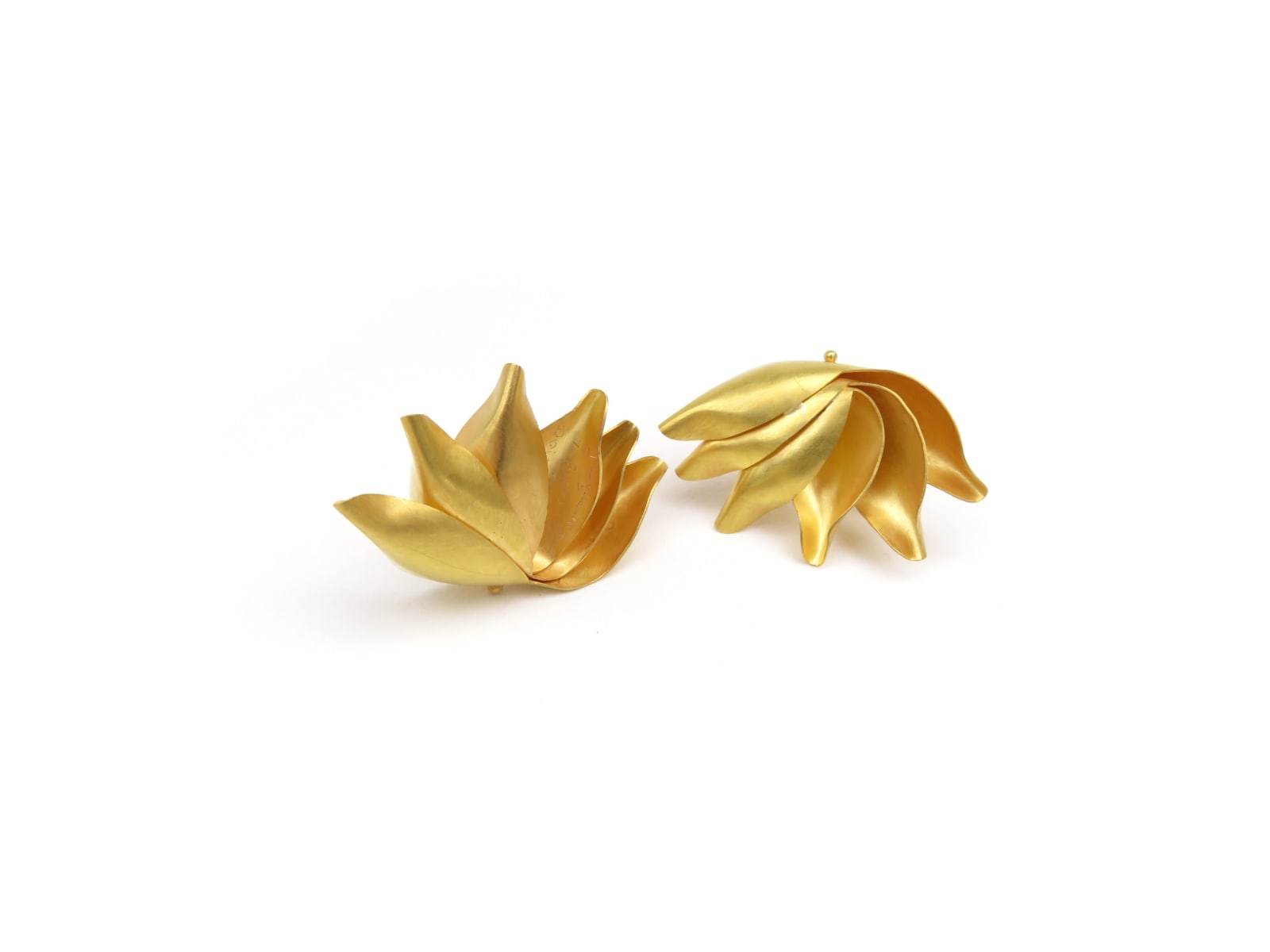 Jacqueline Ryan, Bird of Paradise, 2019