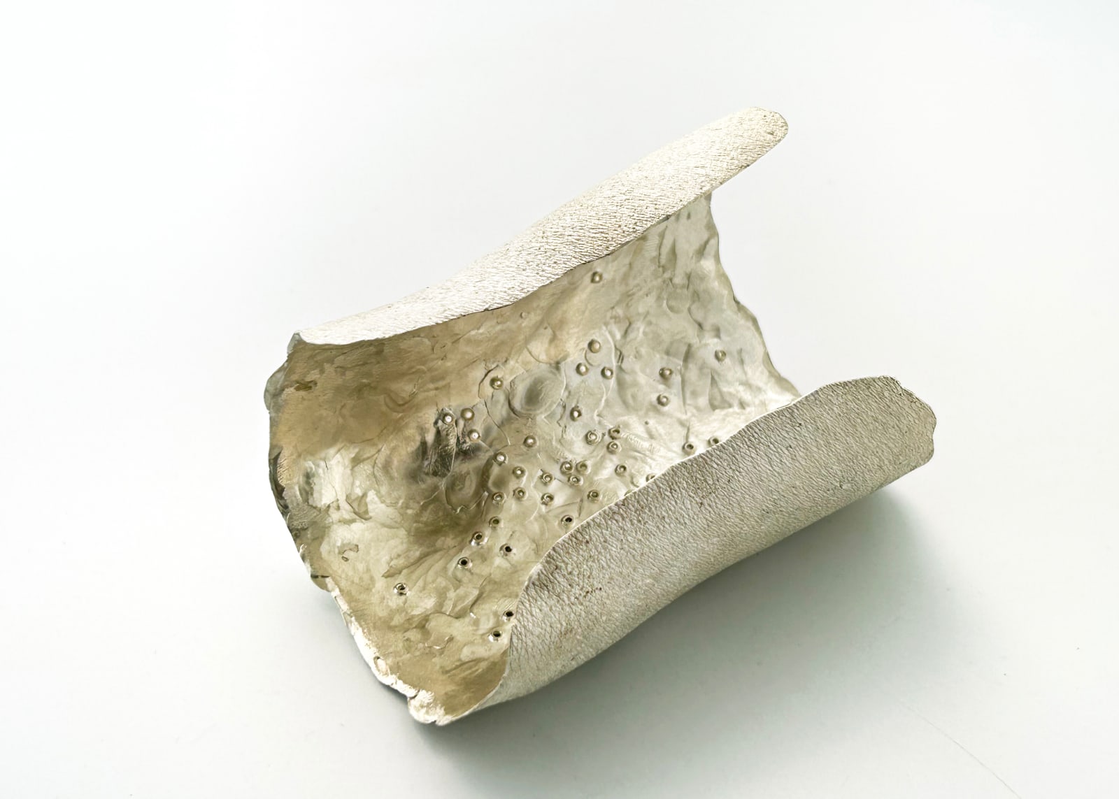 Gerd Rothmann, Handgelenk und Brillis (from the left arm), 2025