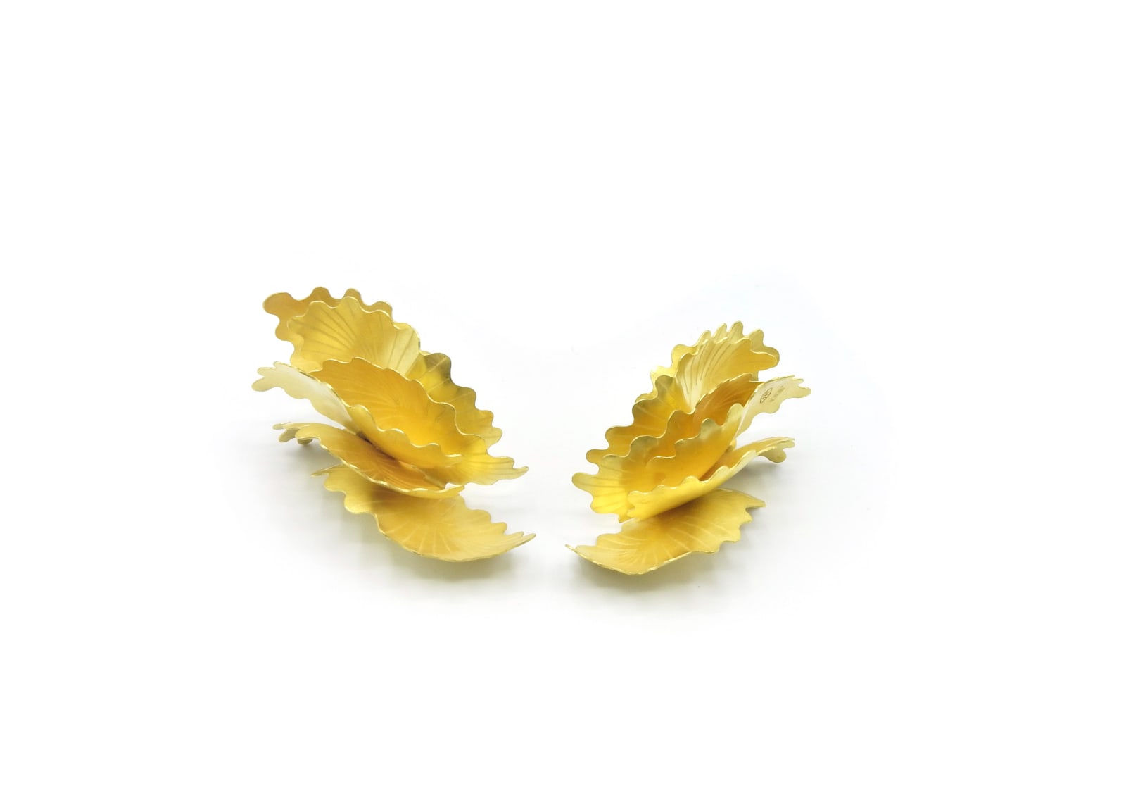 Jacqueline Ryan, Montipora, 2019