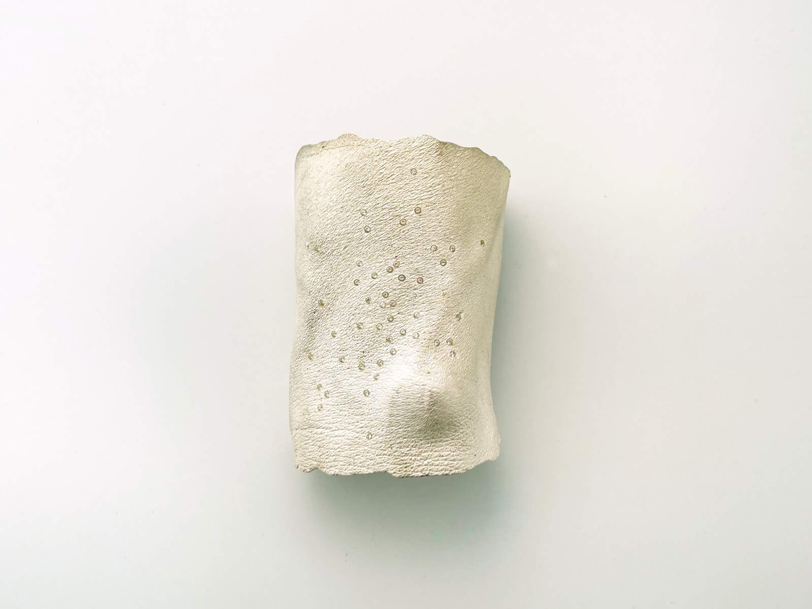 Gerd Rothmann, Handgelenk und Brillis (from the left arm), 2025