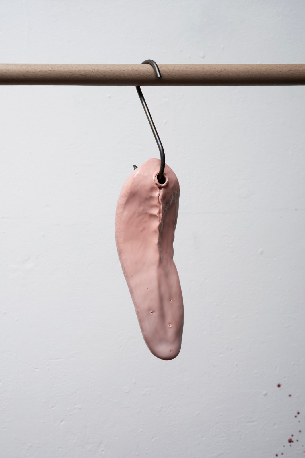 David Bielander, Ox Tongue, 2024