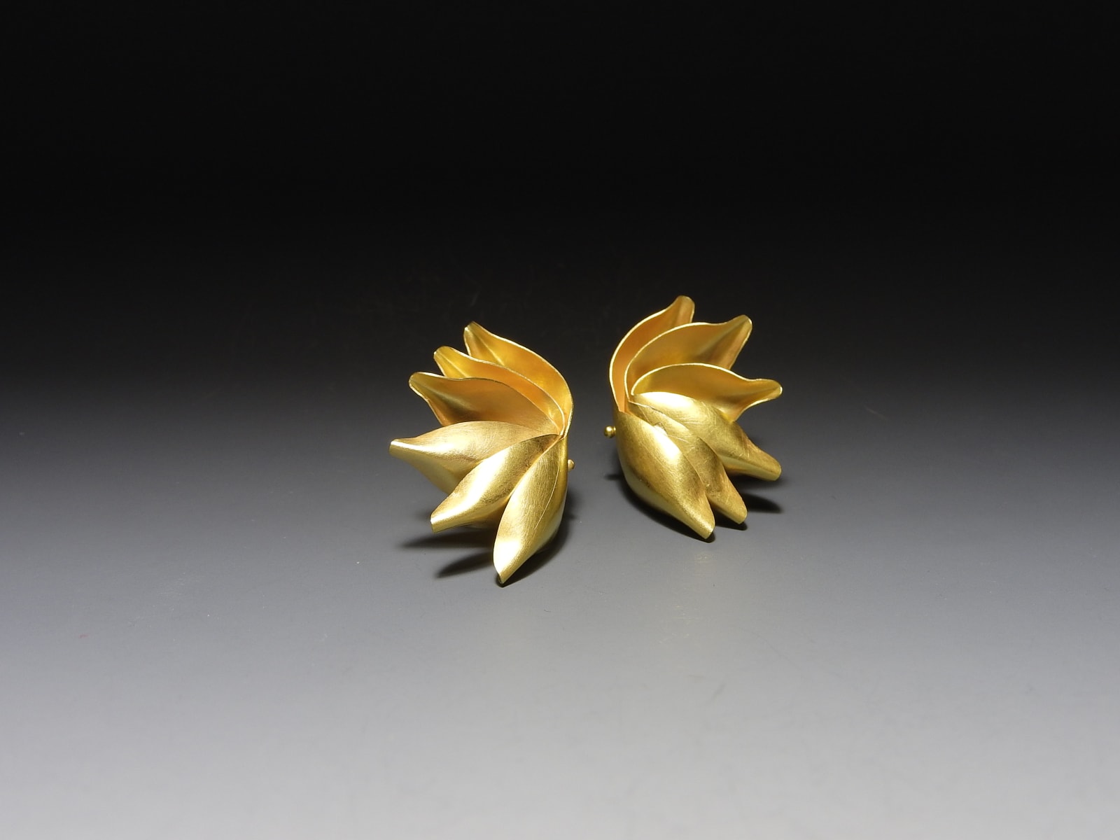 Jacqueline Ryan, Bird of Paradise, 2019