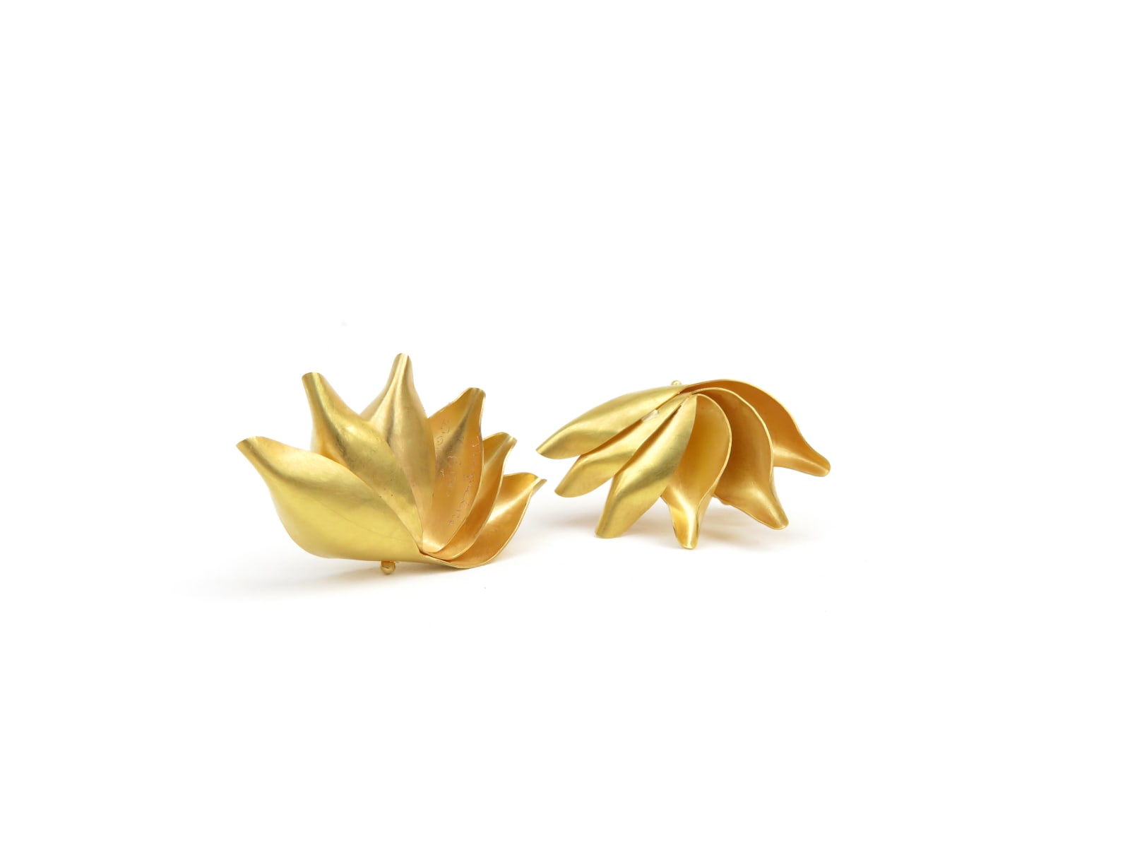 Jacqueline Ryan, Bird of Paradise, 2019