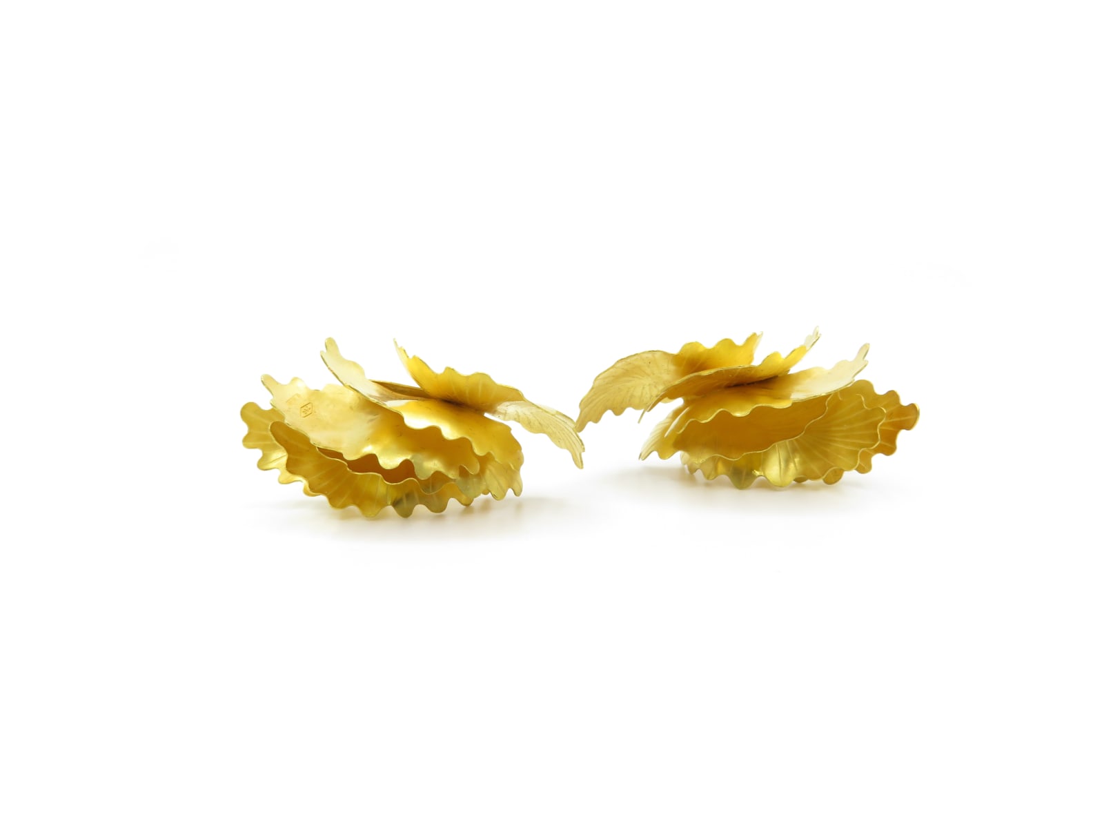 Jacqueline Ryan, Montipora, 2019