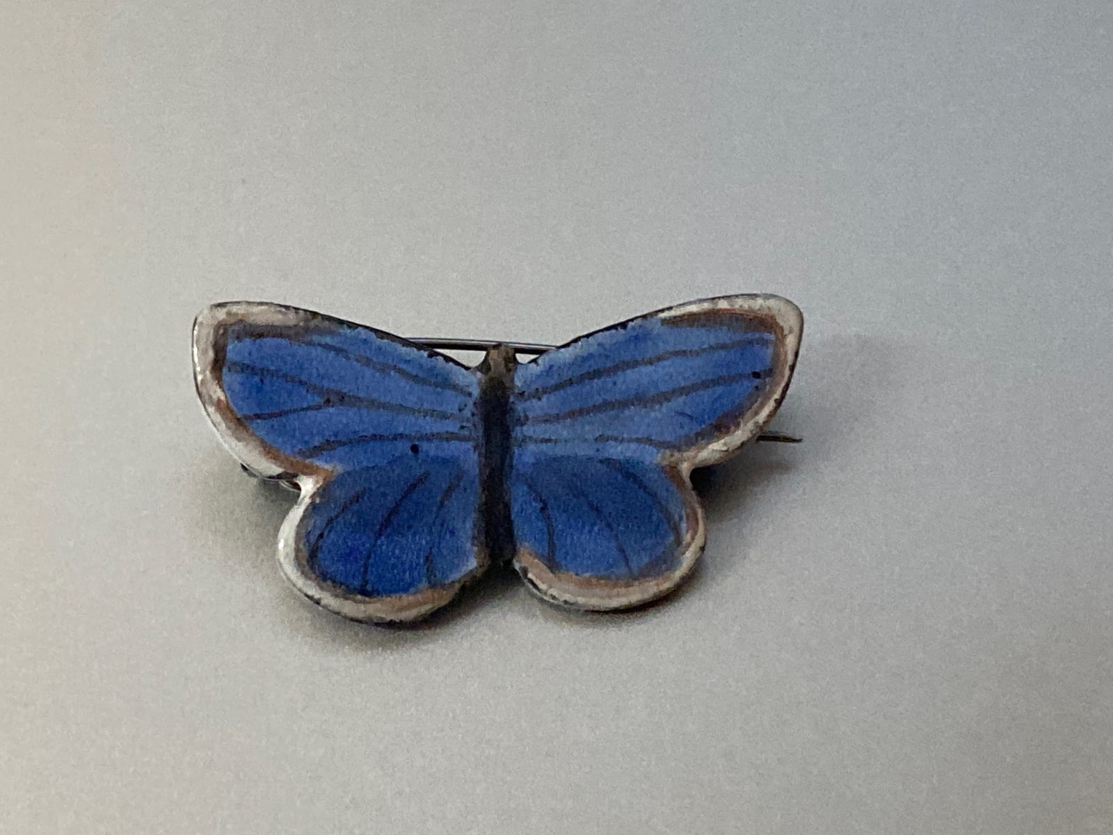 Jutta Klingebiel, Hauhecchelbäling (Common Blue Butterfly)polyommatus icarus, 2022