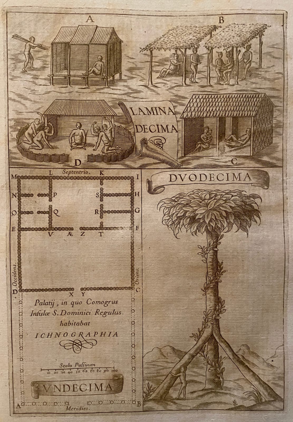 Juan Caramuel Y Lobkowitz, Architectura recta, & obliqua. Vigevano, Typis Episcopalibus, apud Camillum Conradam,., 1681.