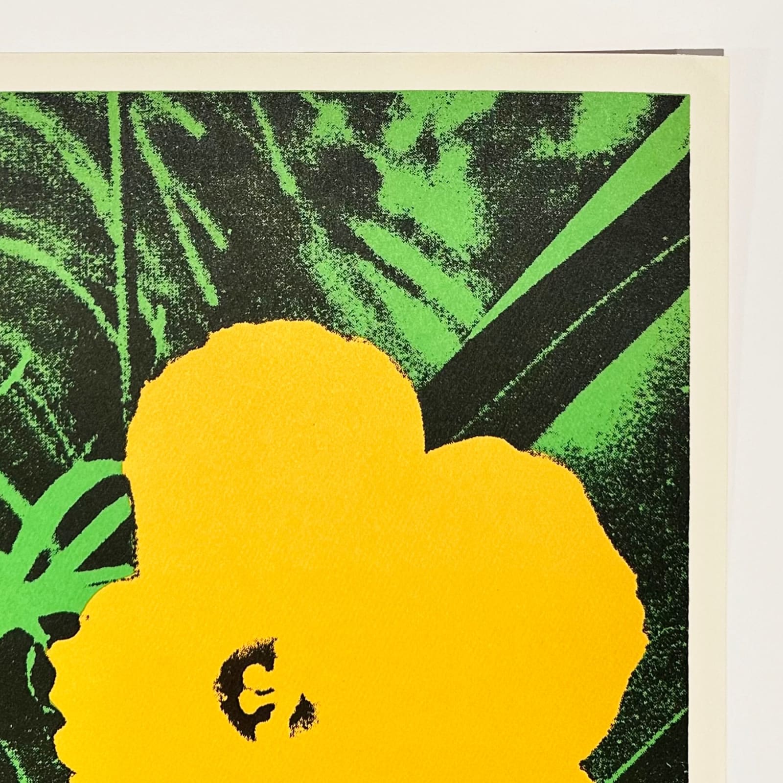 Andy Warhol, Flowers 1964, 1964