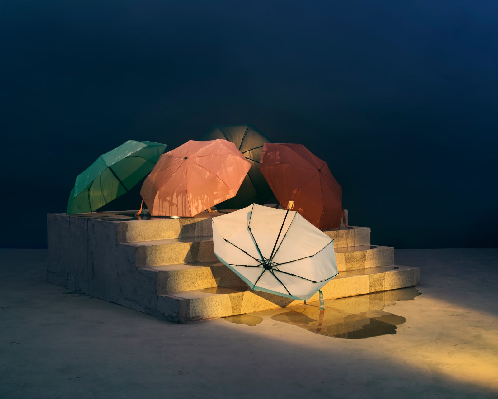 Chen Wei, Flowers on the Steps, 2024