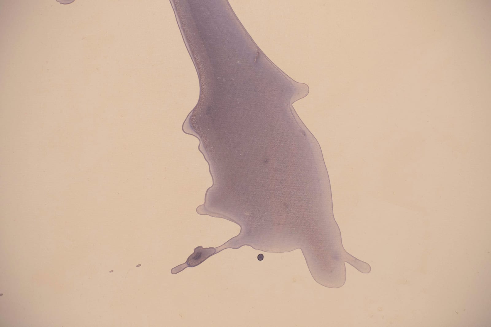 Guo-Liang Tan, Light Frays I, 2019