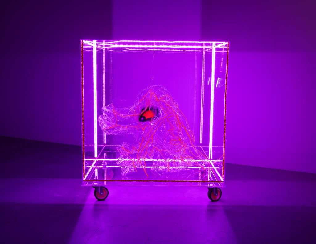 PAPAPEPIA, A-dog, 2019-2020