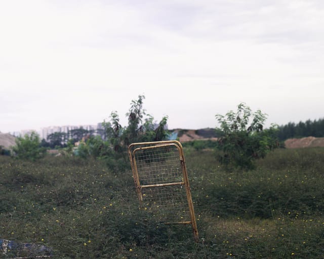 Koh Chaik Hong, The Distanced Land - Summer Walk, Singapore 2015, 2015