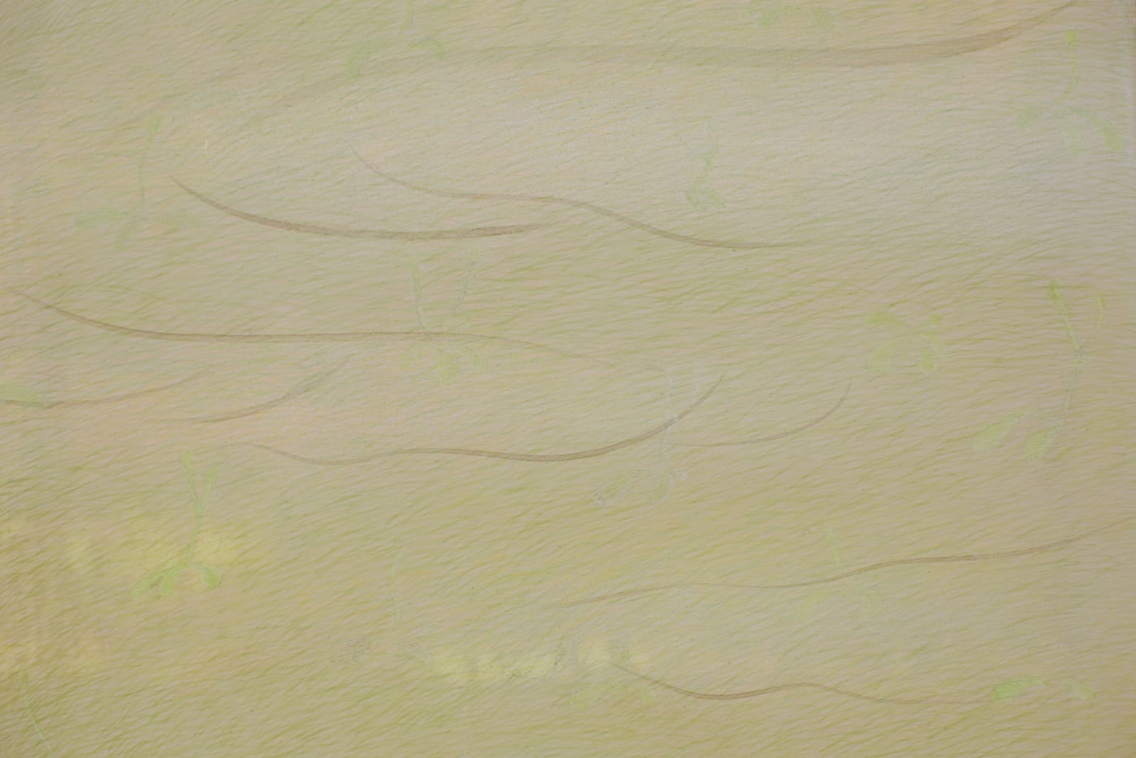 Tomoko Kashiki, Counting the Numbers of Forgotten Things, 2020