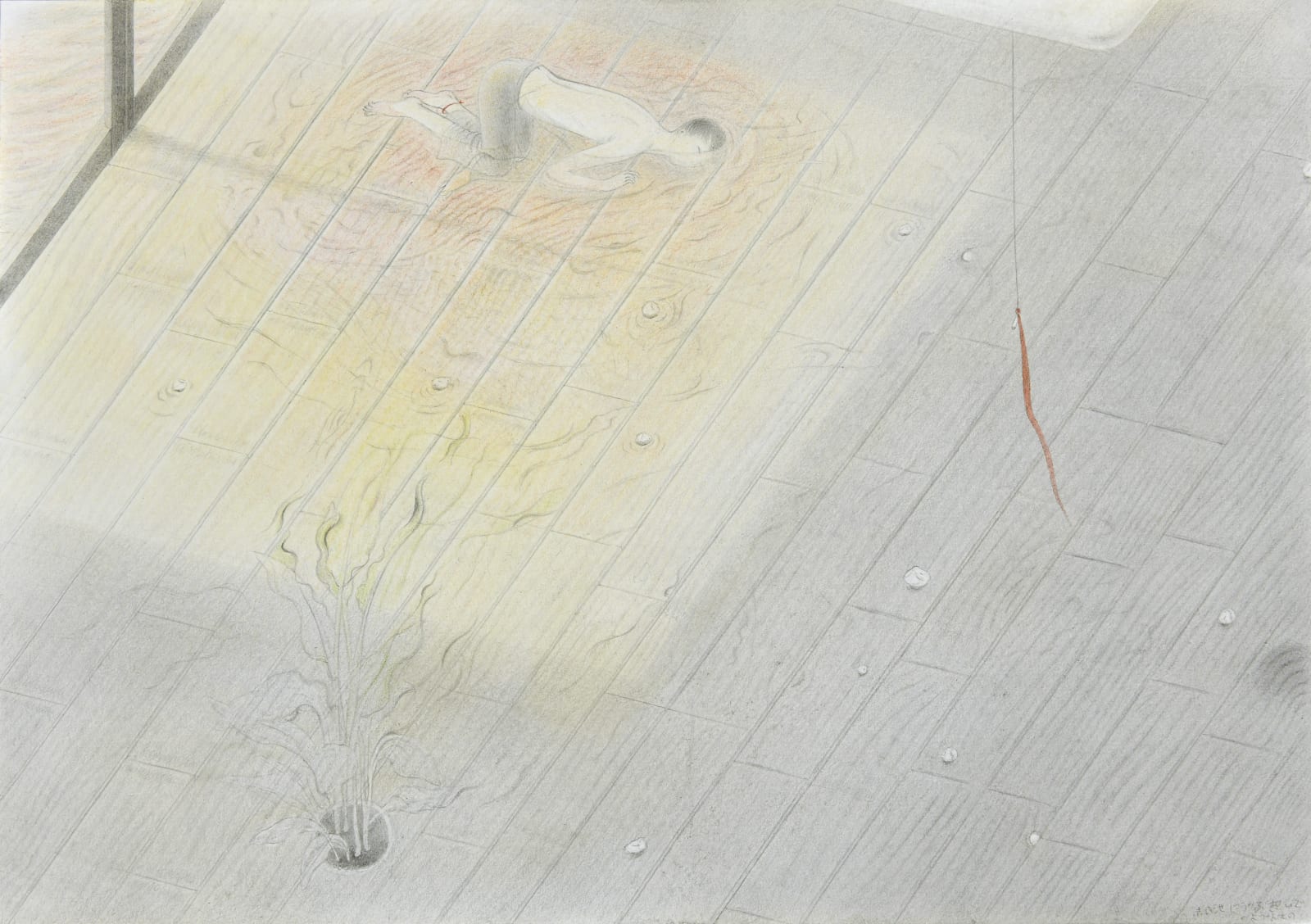 Tomoko Kashiki, Things Like Memories Floating In a Red Pond, 2017