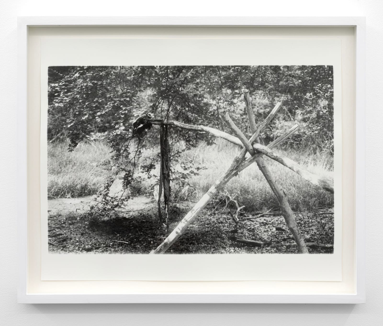 Signe Ralkov, Horse sacrifice (500 BCE – 800 CE), 2025