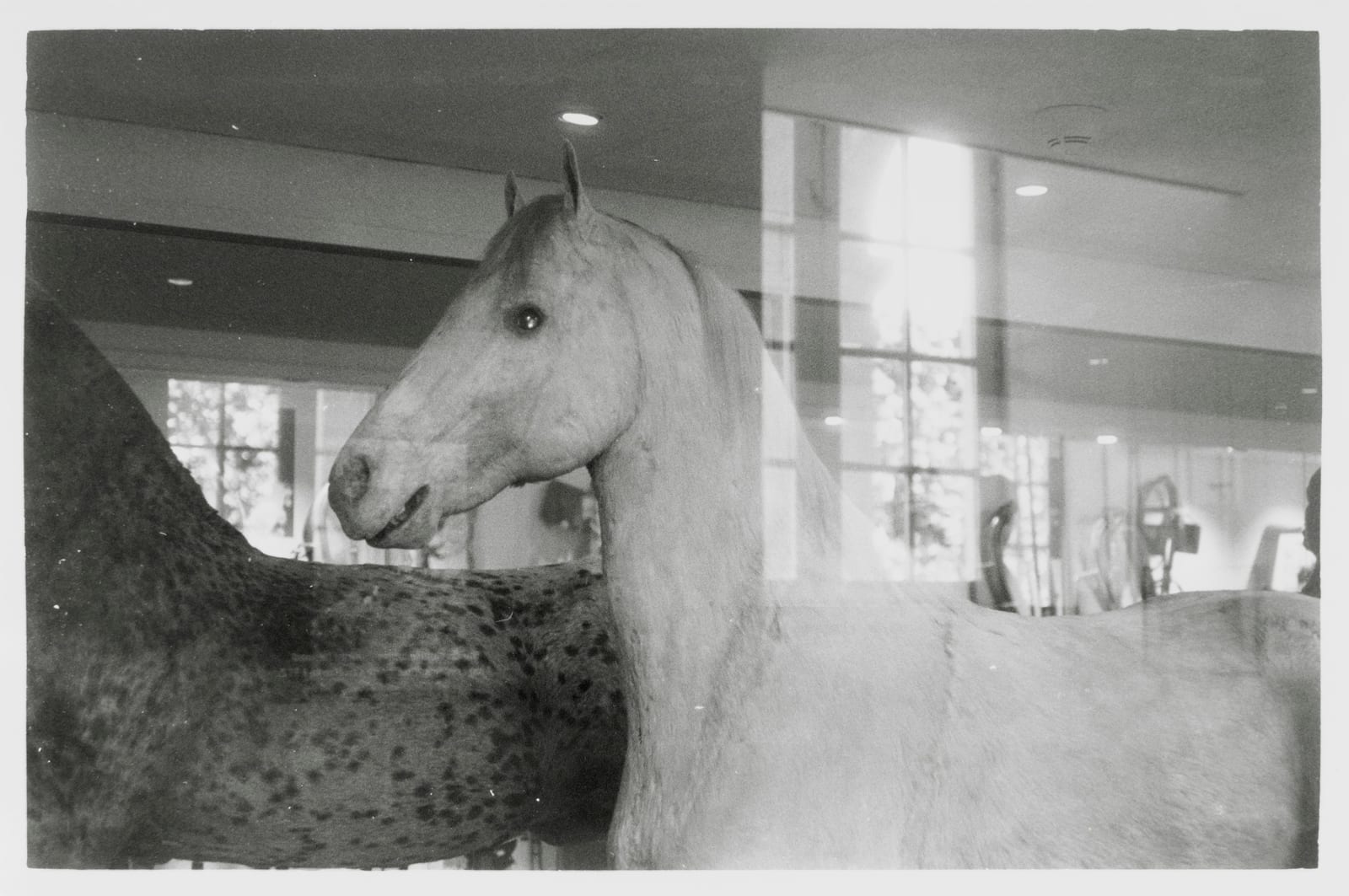 Signe Ralkov, Perlen (1844-1864), 2025