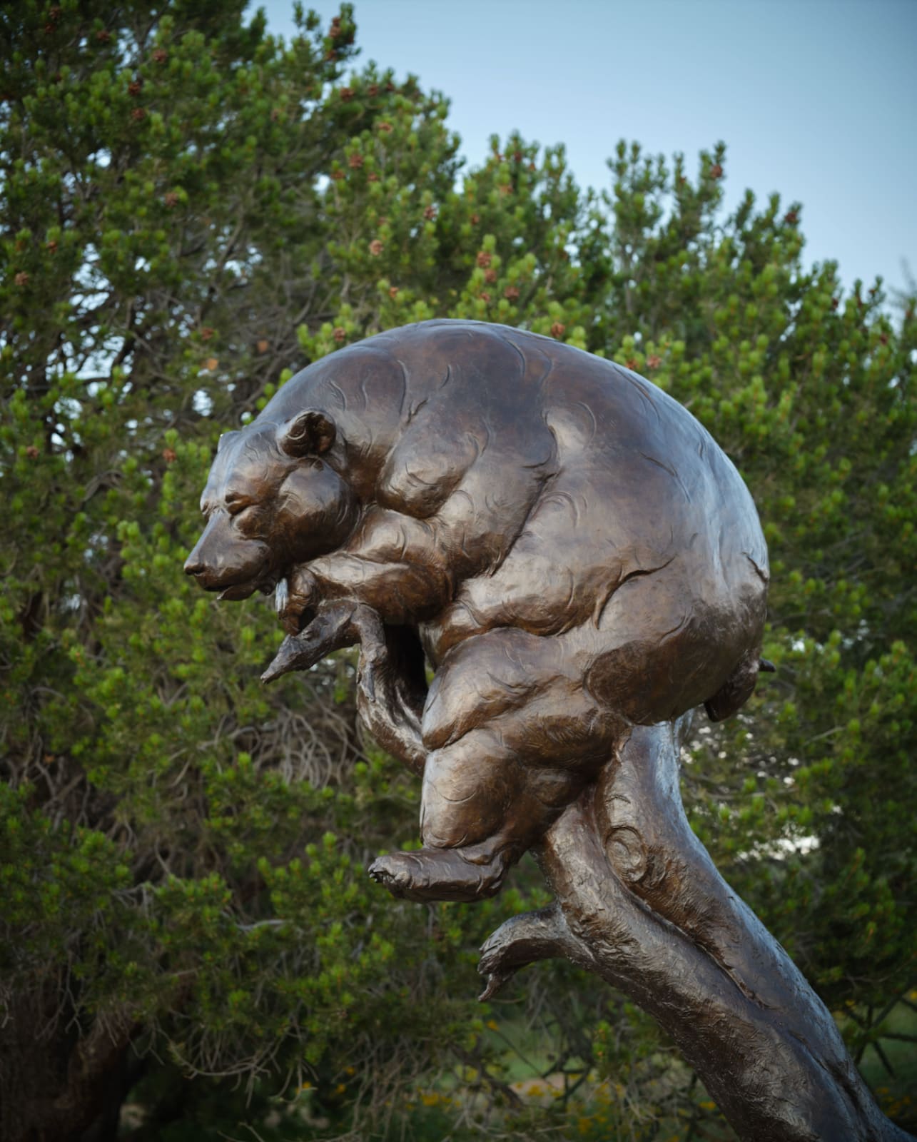 Dan Ostermiller, Oblivious, d. 2007