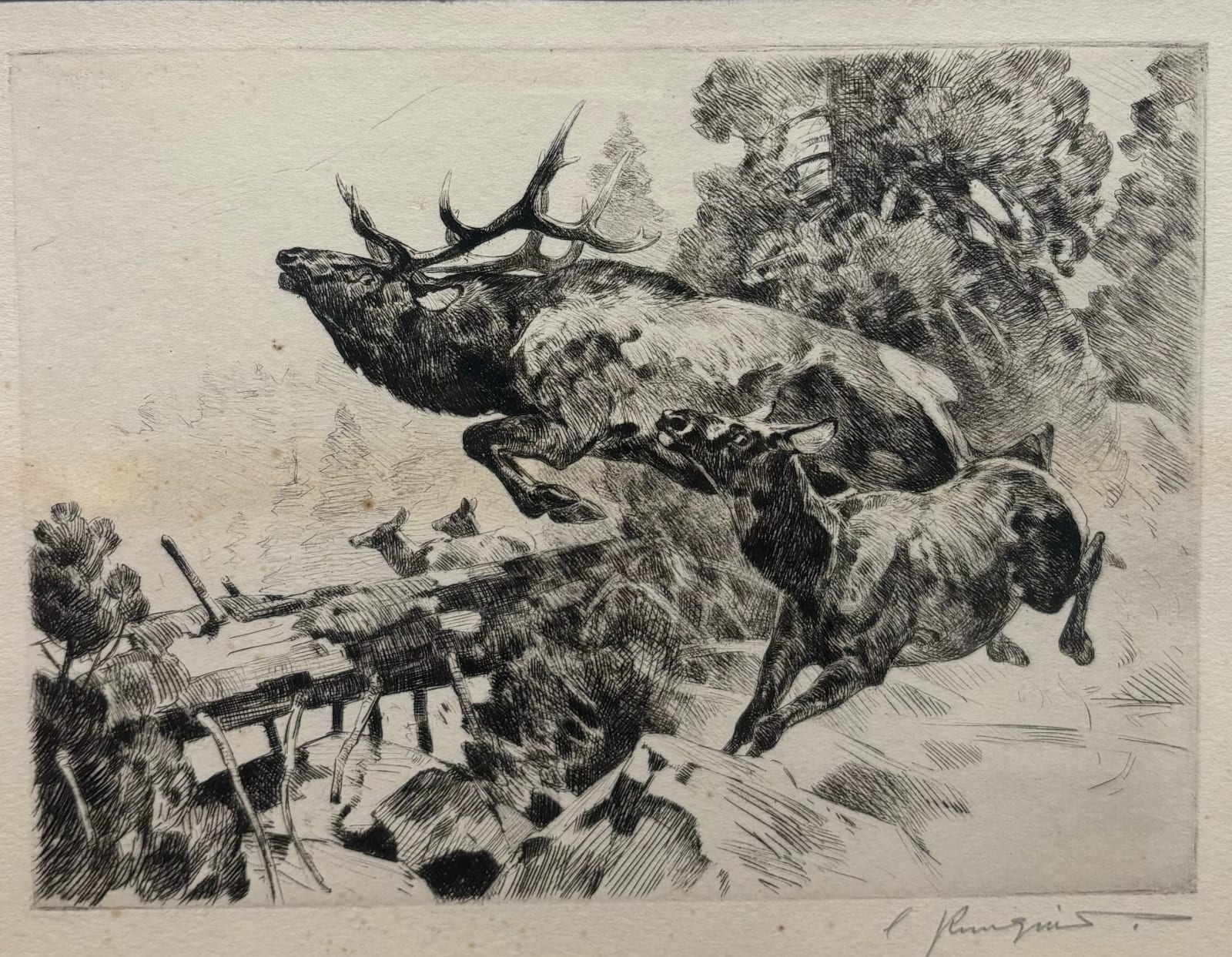 Carl Rungius, Stampede