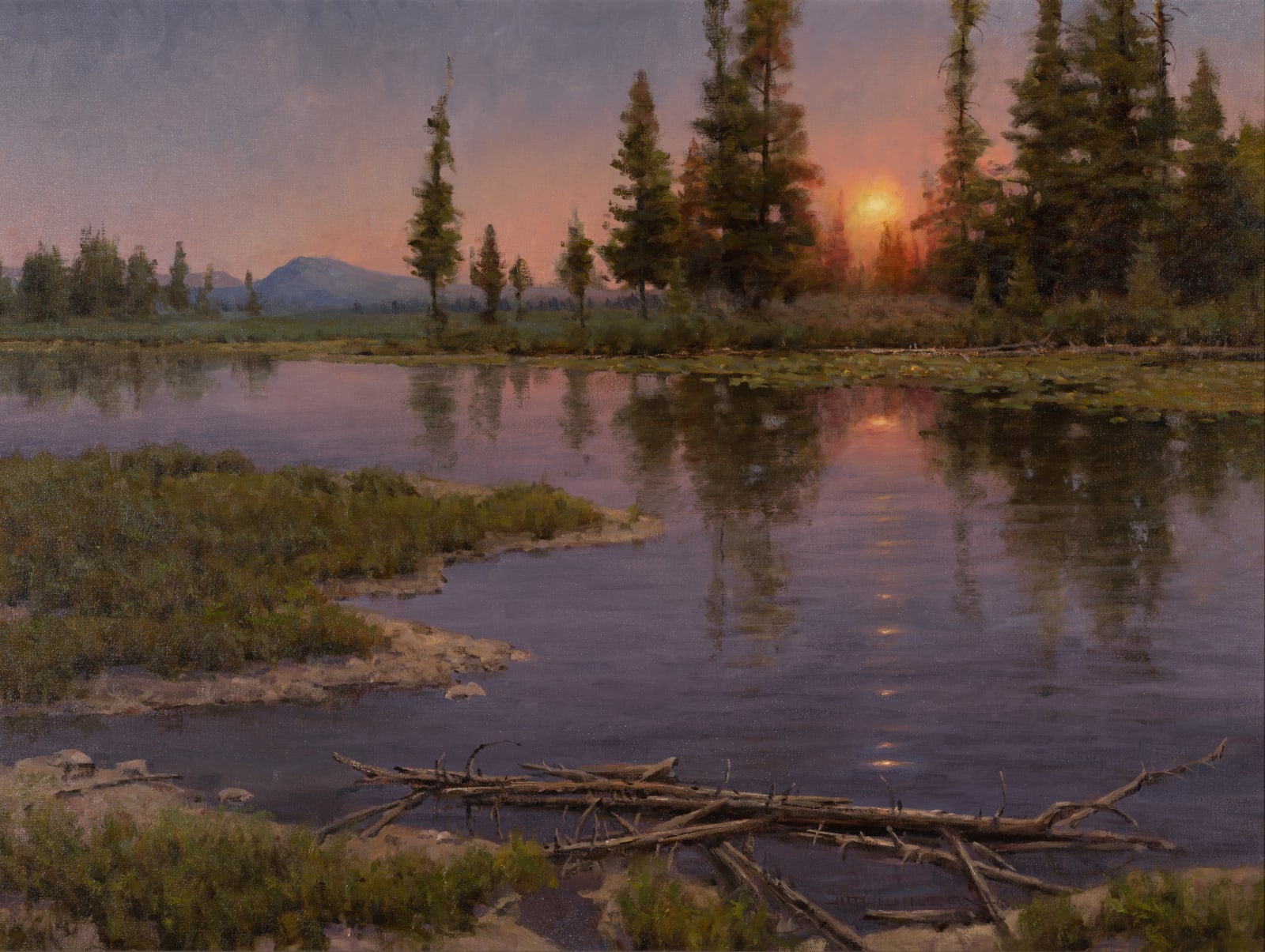 Jim Wilcox, Shining Through