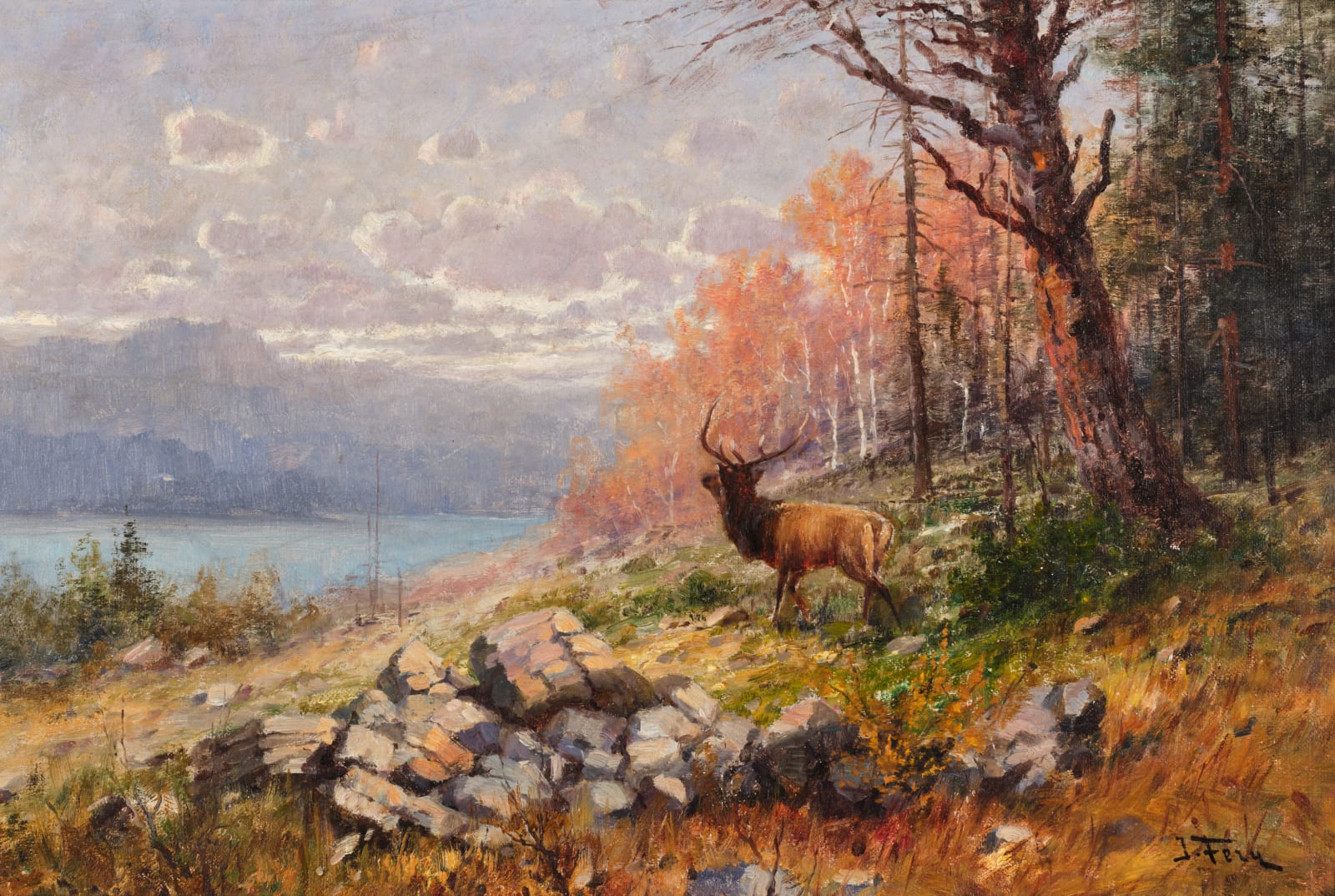 John Fery, Elk in Fall Landscape