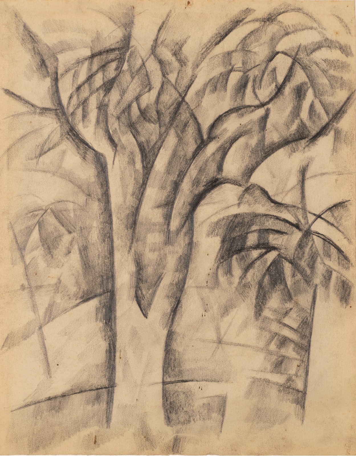 Andrew Dasburg, Tree, c. 1912