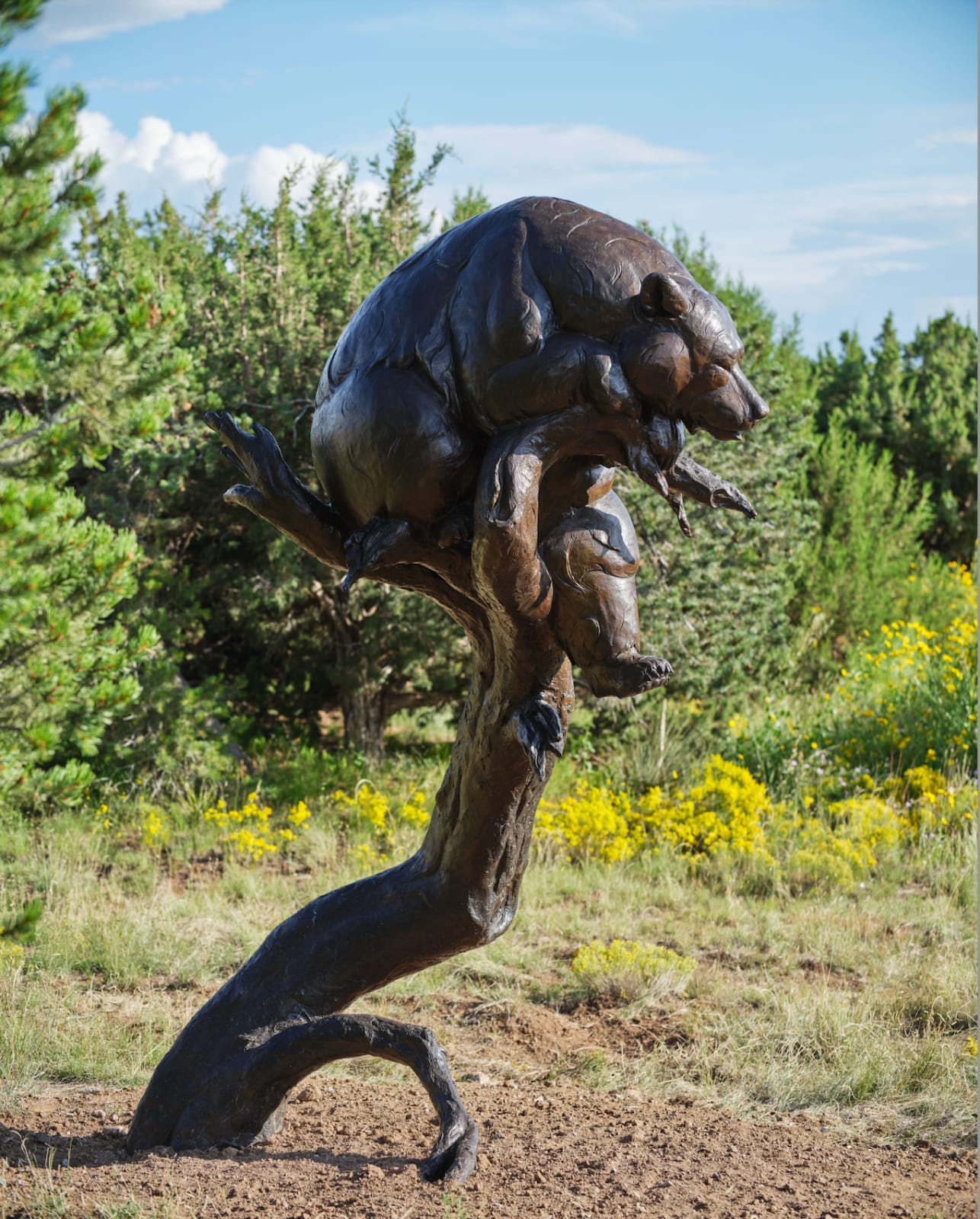 Dan Ostermiller, Oblivious, d. 2007