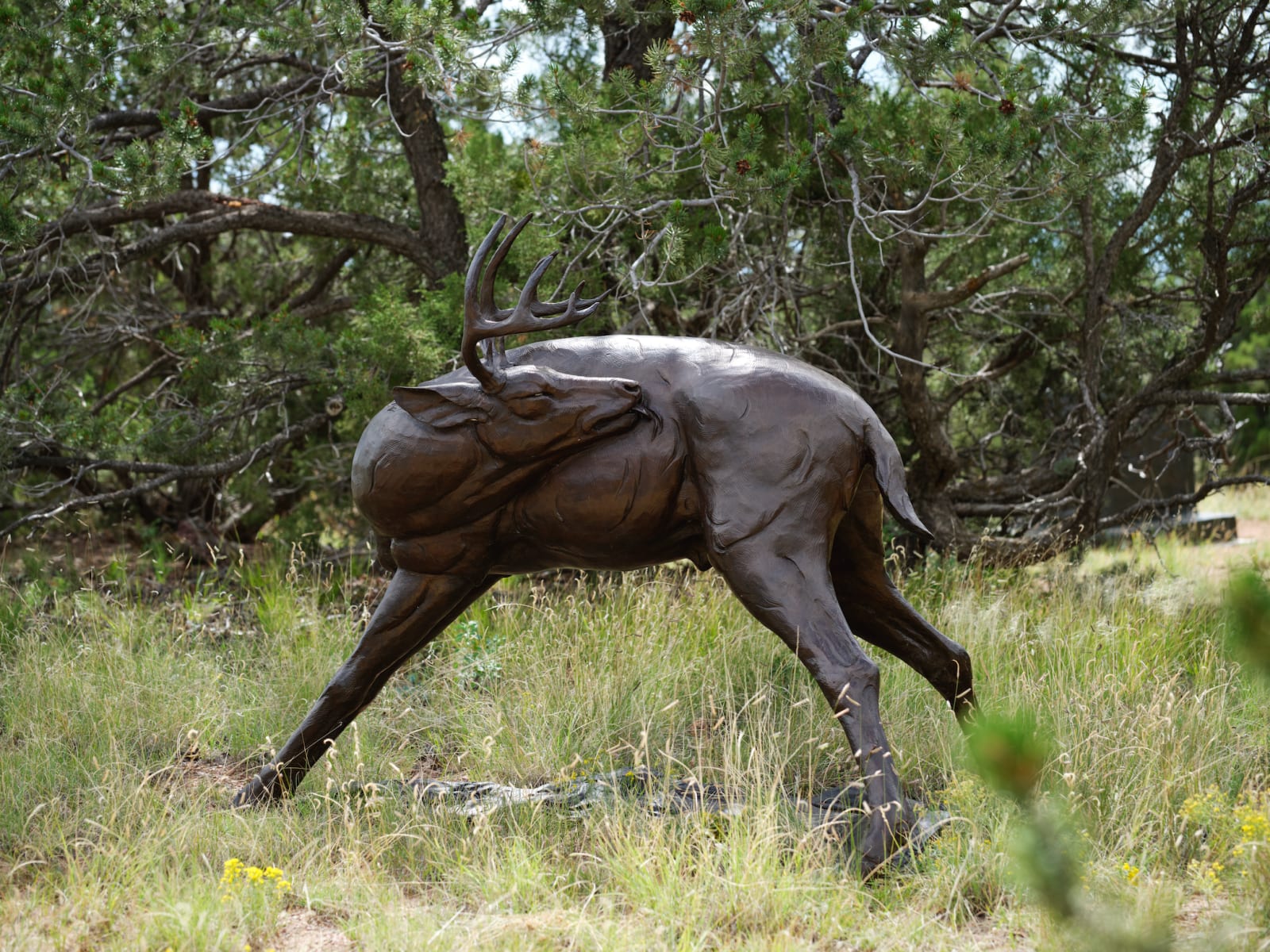 Dan Ostermiller, Preening Whitetail Monument, d. 2005