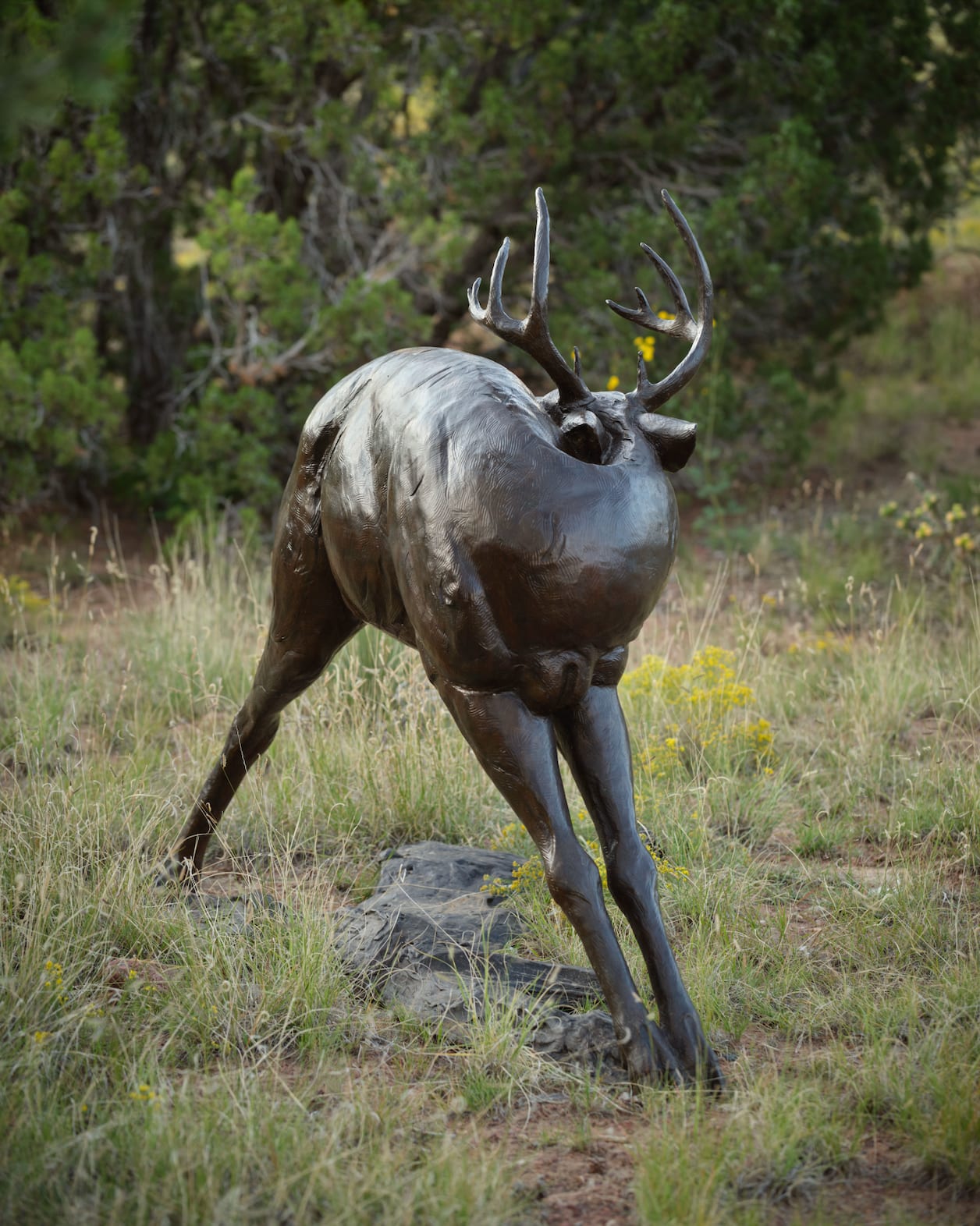 Dan Ostermiller, Preening Whitetail Monument, d. 2005