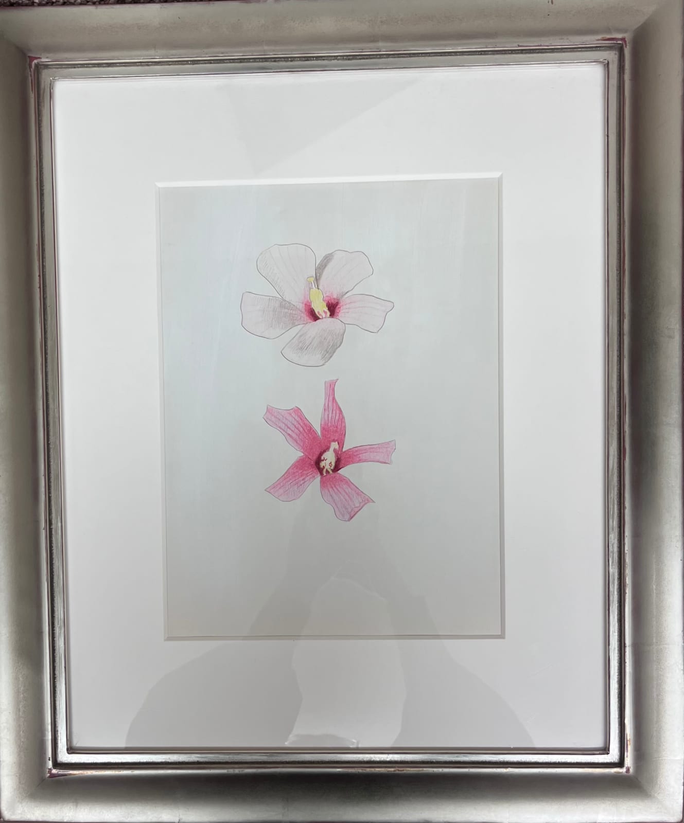 Joseph Stella, Two Hibiscus