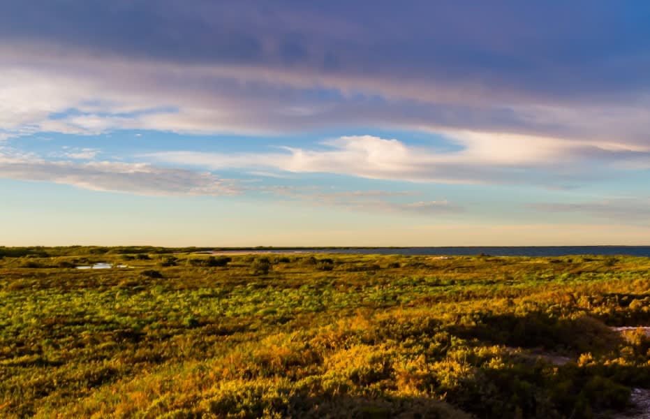 Pablo Marquez, 444 Landscape