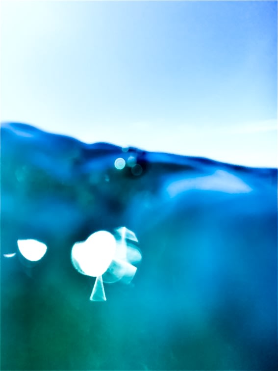 pablo marquez, oceanos, 2019