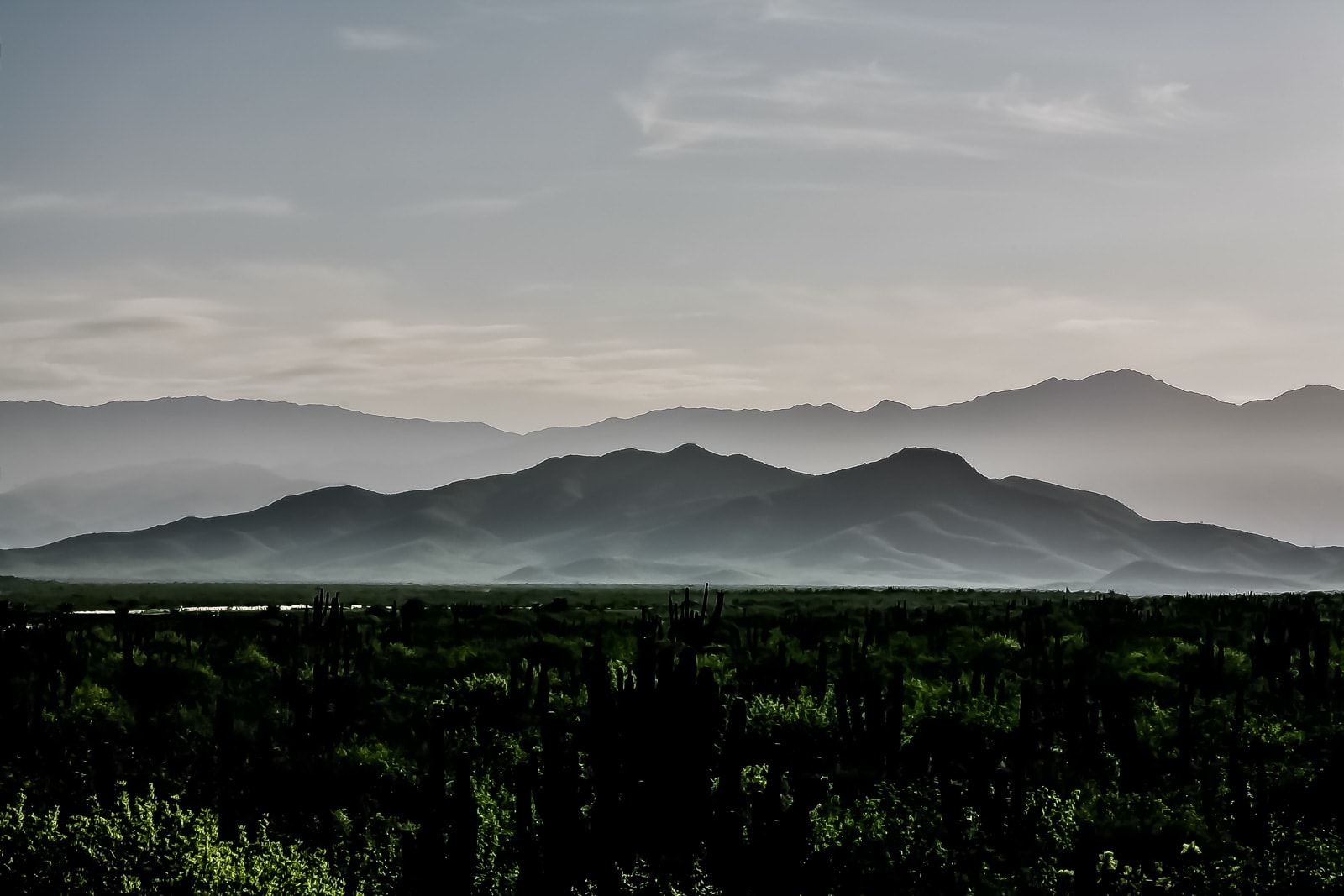 Pablo Marquez, 40 montaña amanecer., 2019