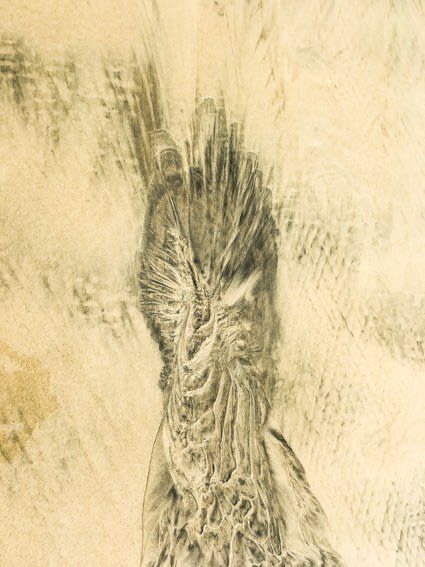 Pablo Márquez, Landscape_abstract # 7. Pájaro, # 71, 2019